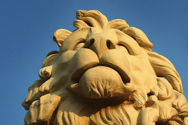 网页版电话攻击