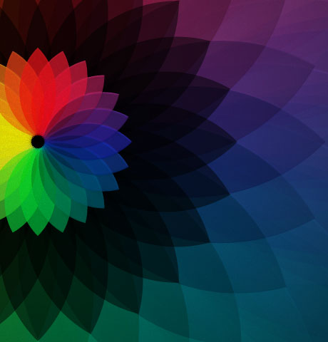 呼死你软件短信